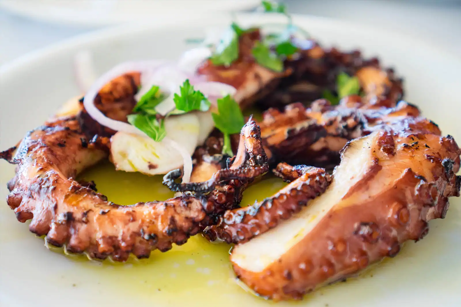 Grilled Octopus - Cape Blue Suites - Achladies - Skiathos - Greece