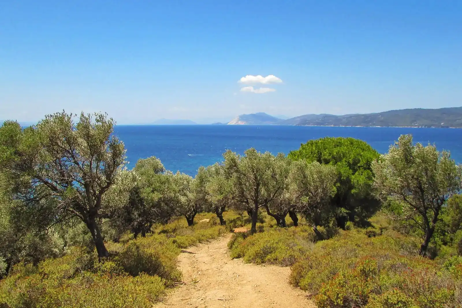Μονοπάτια Πεζοπορίας - Cape Blue Suites - Αχλαδιές - Σκιάθος - Ελλάδα