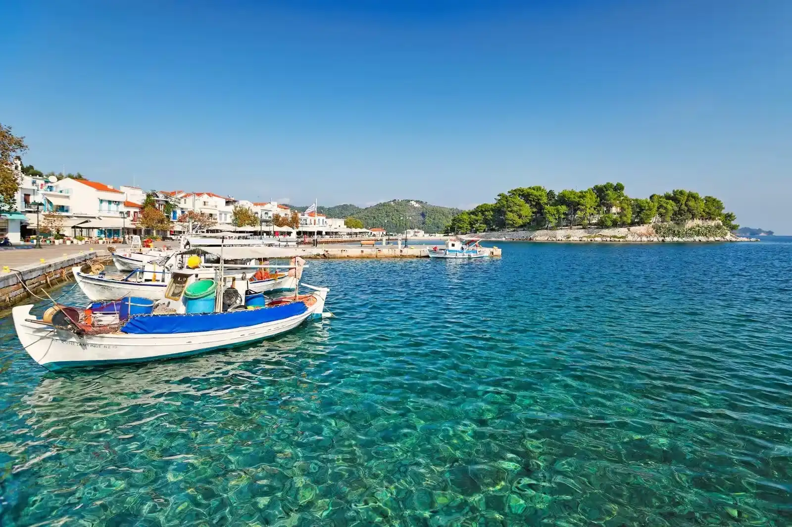 Παλιό Λιμάνι - Cape Blue Suites - Αχλαδιές - Σκιάθος - Ελλάδα